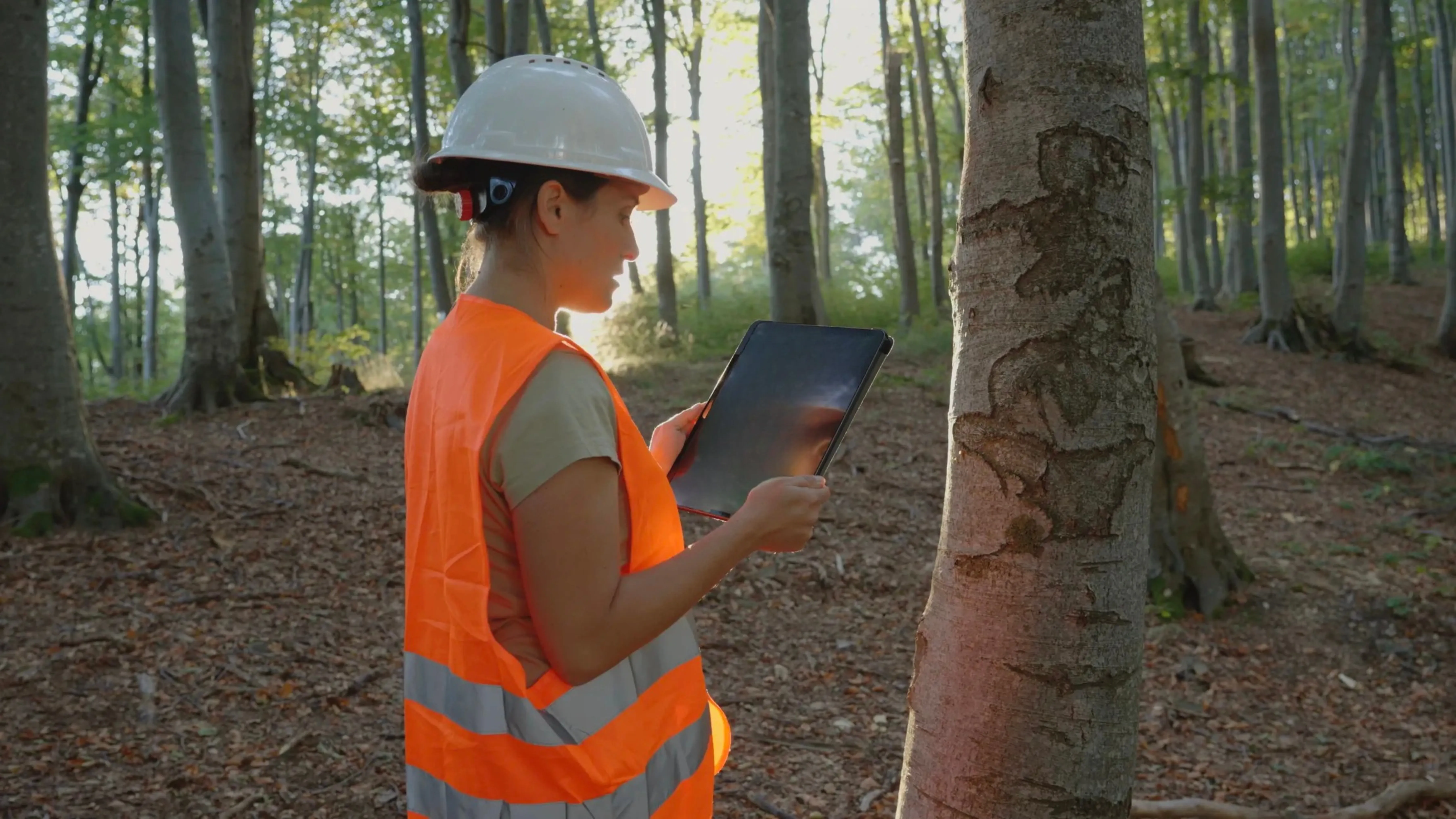 Praktikum im GaLaBau